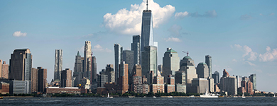 Van Amstel in New York