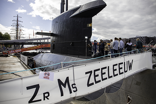 Zeeleeuw
